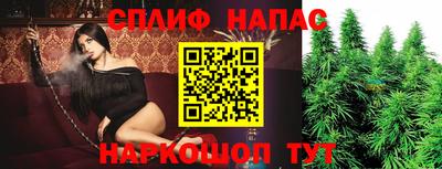 МДПВ Владивосток