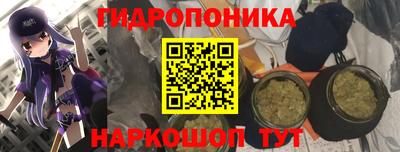 МДПВ Владивосток