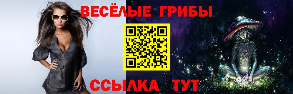 Губаха  Галлюциногенные грибы прущие грибы  Вход с VPN 